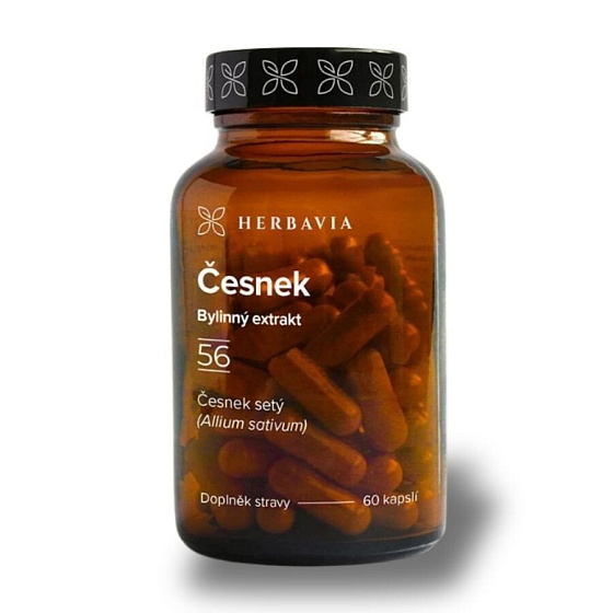 Česnek